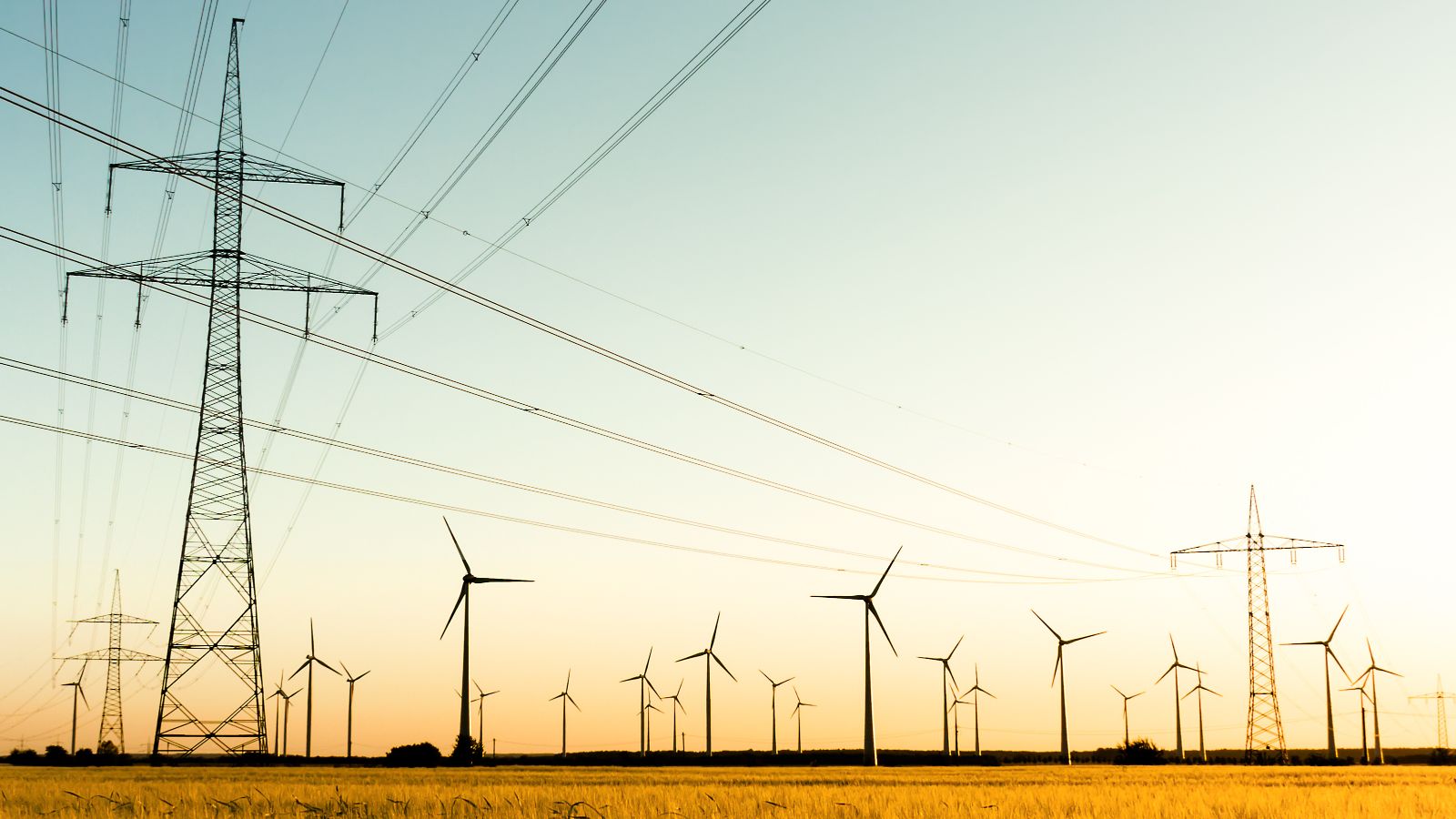 Stromtrasse und Windräder auf einem Kornfeld