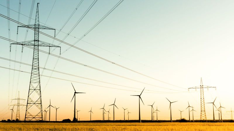 Stromtrasse und Windräder auf einem Kornfeld