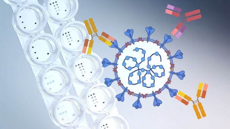 Mit einem Microarray (links) können InfectoGnostics-Forscher gleichzeitig Antikörper gegen SARS-CoV-2 (rechts) und gegen andere Infektionserreger detektieren.